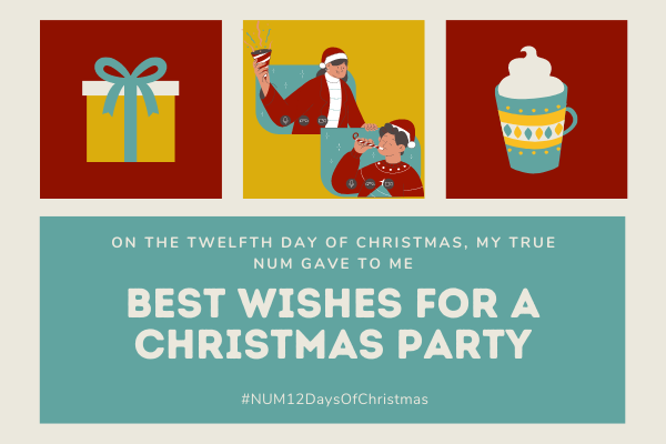 A Christmas collage in red, gold and green. The left hand image is of a present. The right hand image is of a mug of hot chocolate. The central image shows two people dressed in Christmas themed clothing, blowing party blowers. The text reads: “On the twelfth day of Christmas, my true NUM gave to me: best wishes for a Christmas party”.